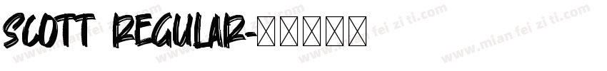 Scott Regular字体转换